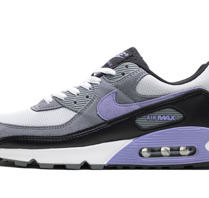 Nike Air Max 90 "Light Thistle"