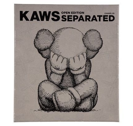Kaws "Separated"