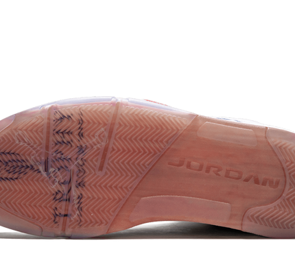 Air Jordan 5 Retro "Trophy Room"