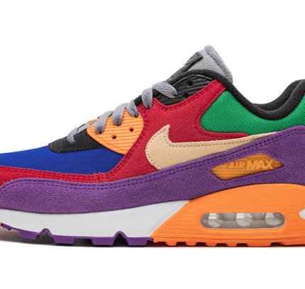 Nike Air Max 90 "Viotech"