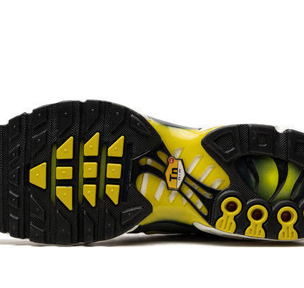 Nike Air Max Plus WMNS "VIOLET DUST"