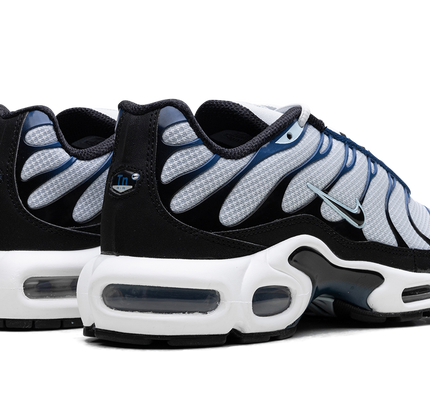 Nike Air Max Plus „Pure Platinum/Schwarz“