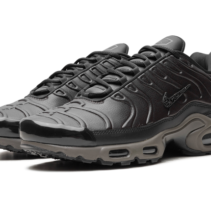 Air Max Plus „Schwarzer Tee / Petra Braun“ „Schwarzer Tee / Petra Braun“