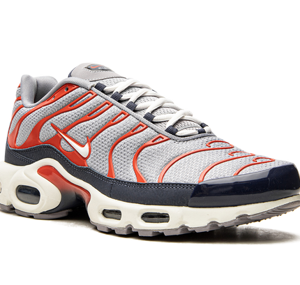 Nike Air Max Plus "USA Grey"