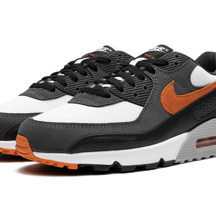 Nike Air Max 90 "Starfish"