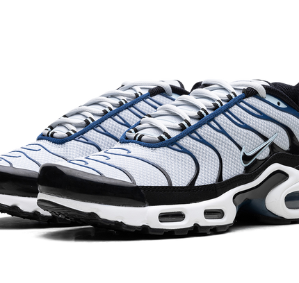 Nike Air Max Plus „Pure Platinum/Schwarz“