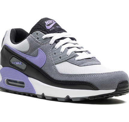 Nike Air Max 90 "Light Thistle"