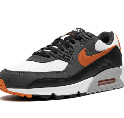 Nike Air Max 90 "Starfish"