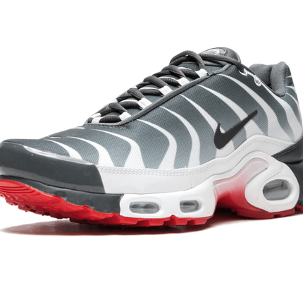 Nike Air Max Plus TN "SE"