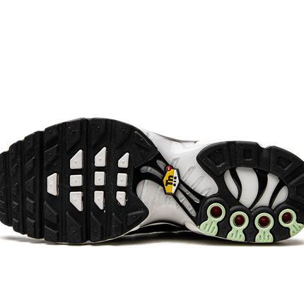 Nike Air Max Plus GS