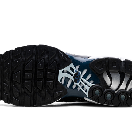 Nike Air Max Plus „Pure Platinum/Schwarz“