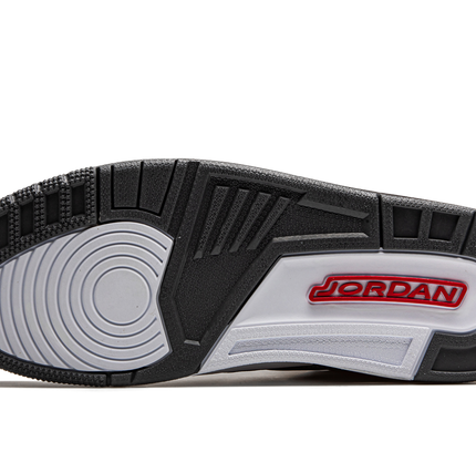 Air Jordan 3 Retro "Cool Grey"
