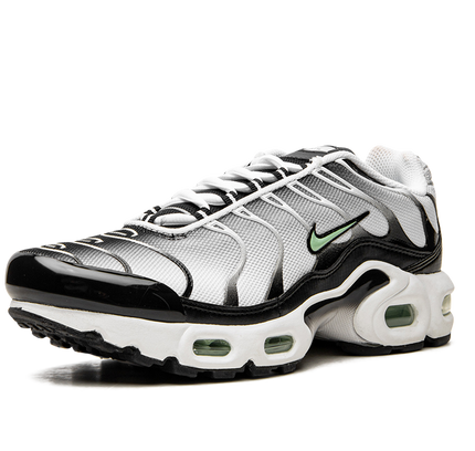 Nike Air Max Plus GS