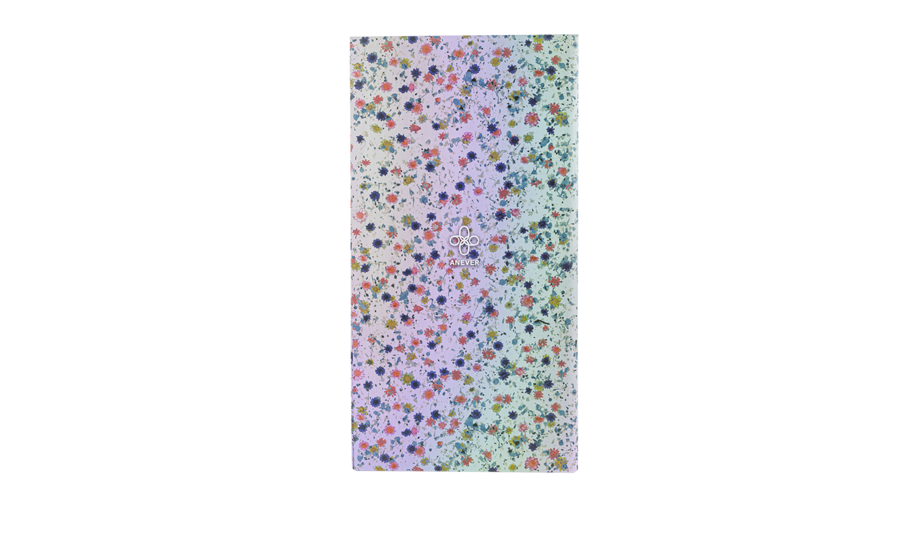 Bearbrick Anever "1000%"