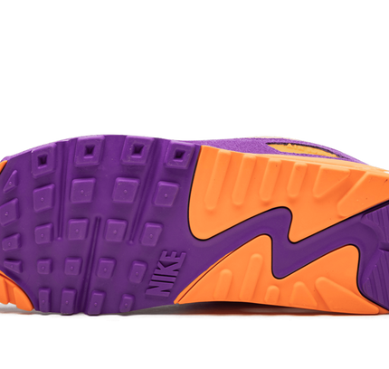 Nike Air Max 90 "Viotech"