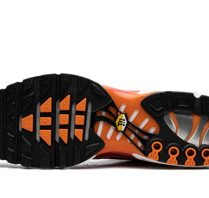 Nike Air Max Plus "Light Photography - Sport Red"