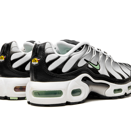 Nike Air Max Plus GS