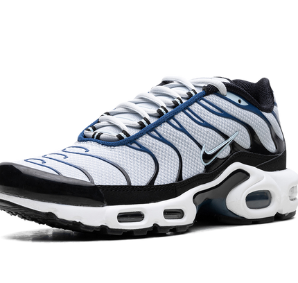 Nike Air Max Plus „Pure Platinum/Schwarz“