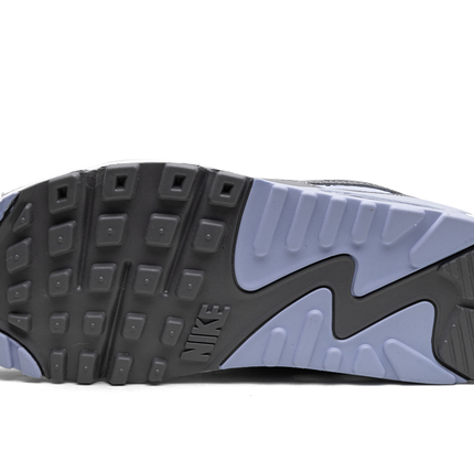 Nike Air Max 90 WMNS "Cobalt Bliss"