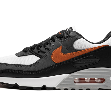 Nike Air Max 90 "Starfish"
