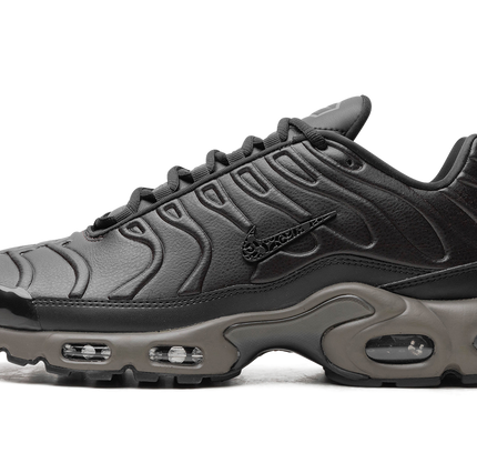 Air Max Plus „Schwarzer Tee / Petra Braun“ „Schwarzer Tee / Petra Braun“