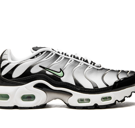 Nike Air Max Plus GS