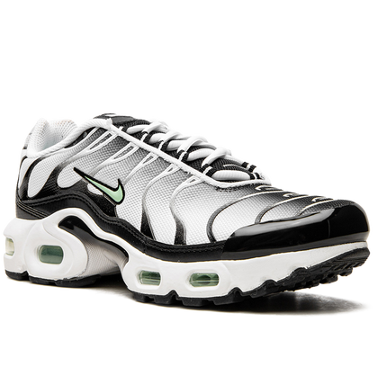 Nike Air Max Plus GS