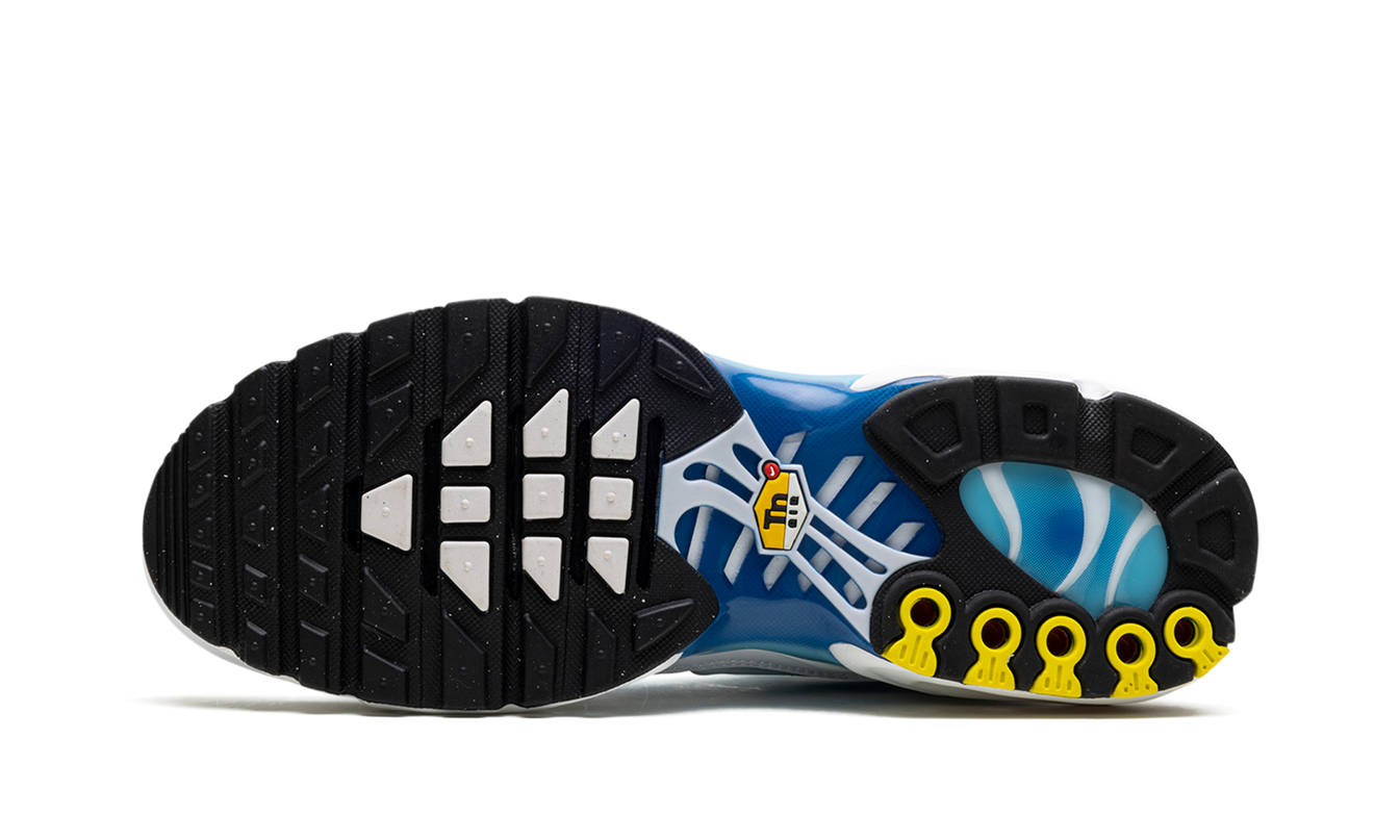 Air Max Plus „Blauer Blick“