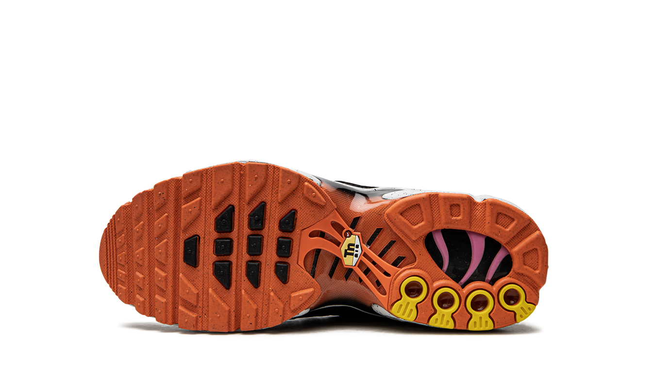 Nike Air Max Plus GS