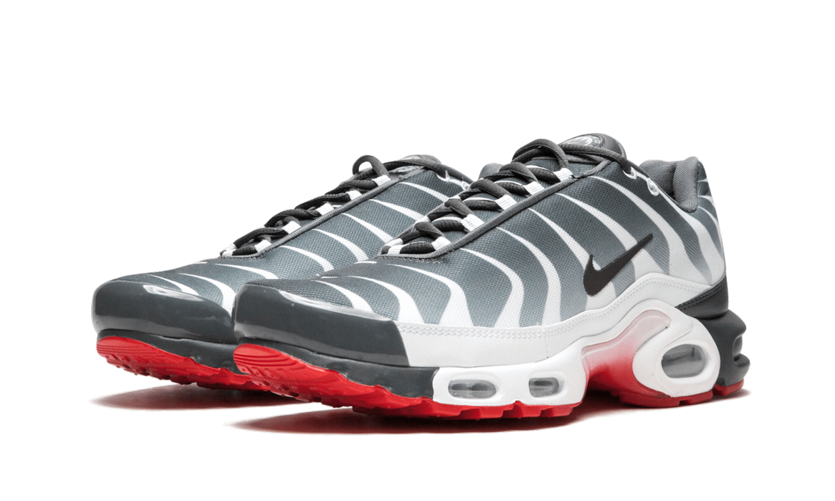 Nike Air Max Plus TN "SE"
