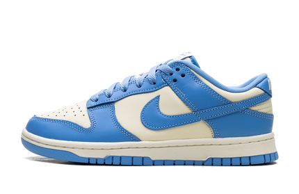 Nike Dunk Low Retro 