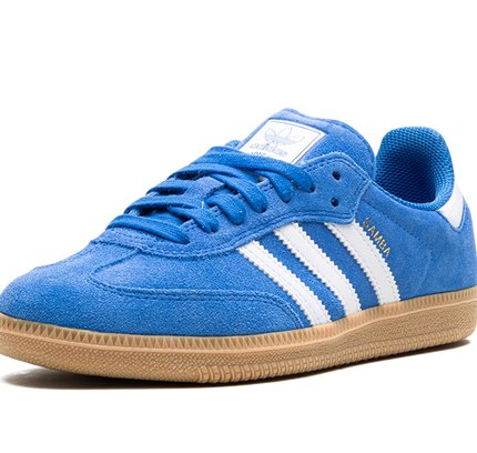 Adidas Samba Adv "Blue Bird"