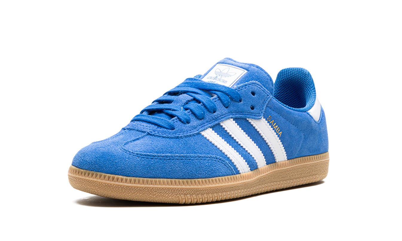 Adidas Samba Adv "Blue Bird"