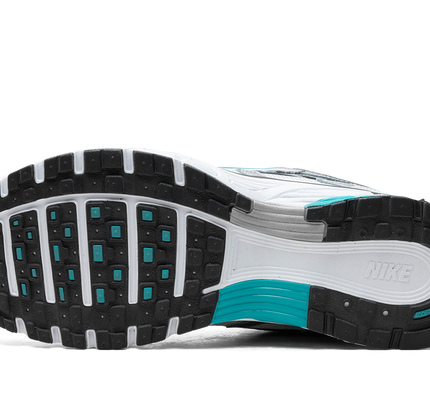 Nike P-6000 "Dusty Cactus"