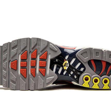 Air Max Plus „USA Grey“