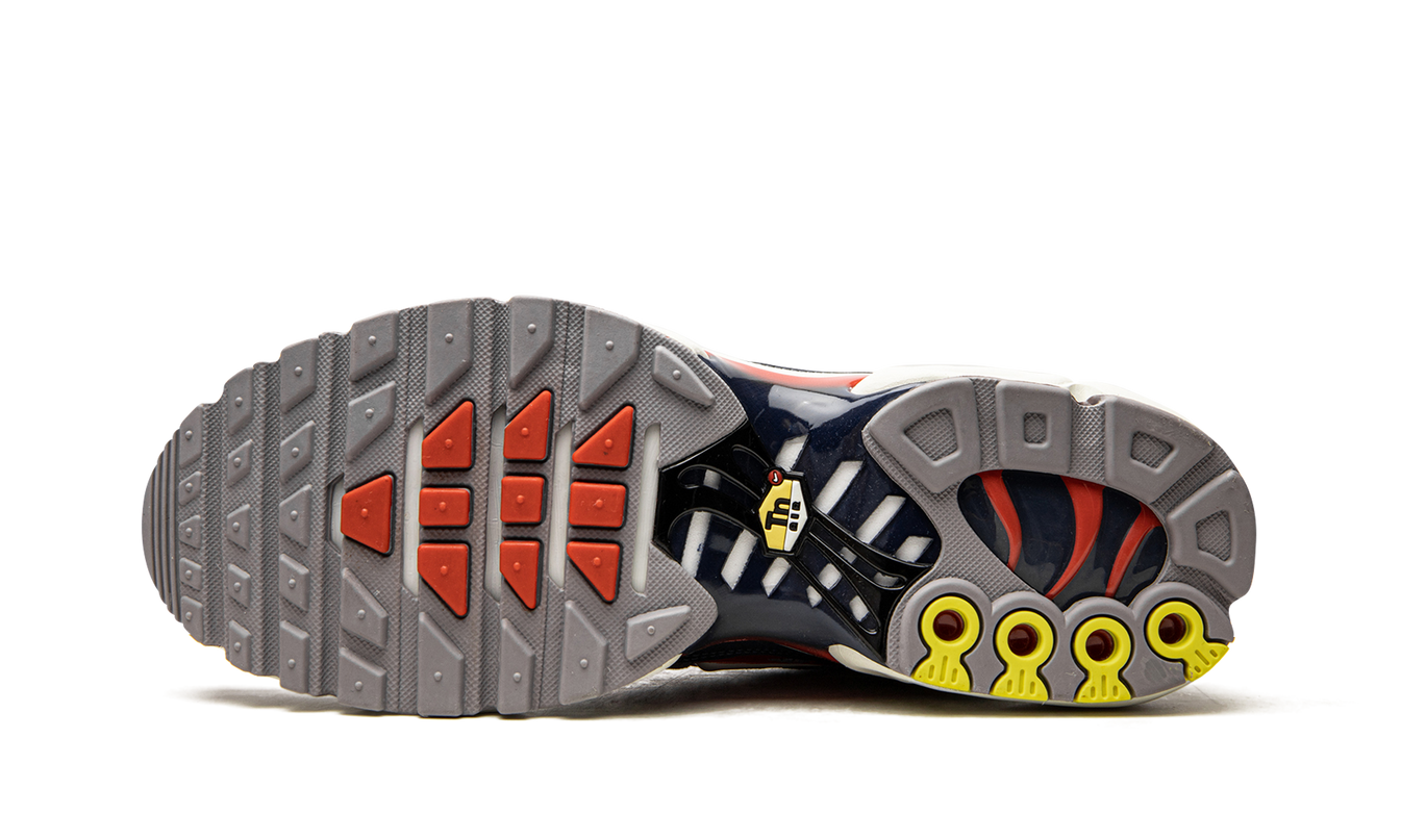 Air Max Plus „USA Grey“