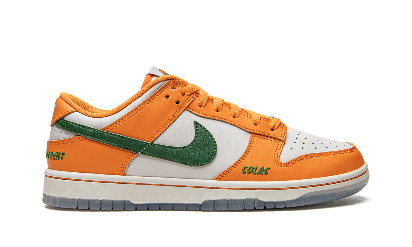 Nike Dunk Low "Florida A&M"