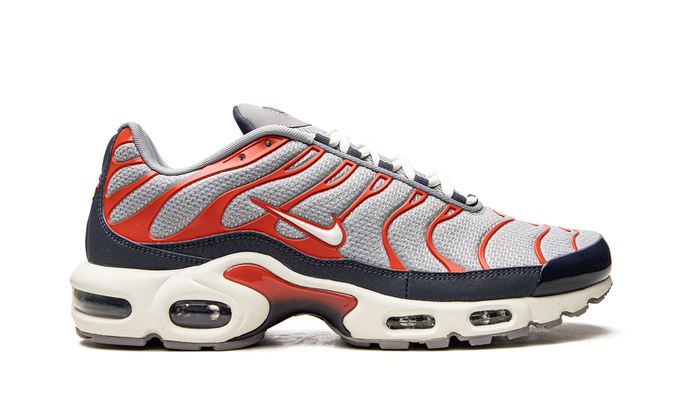 Nike Air Max Plus "USA Grey"
