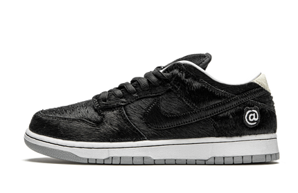 Nike Dunk SB Low 