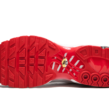 Nike Air Max Plus TN "SE"