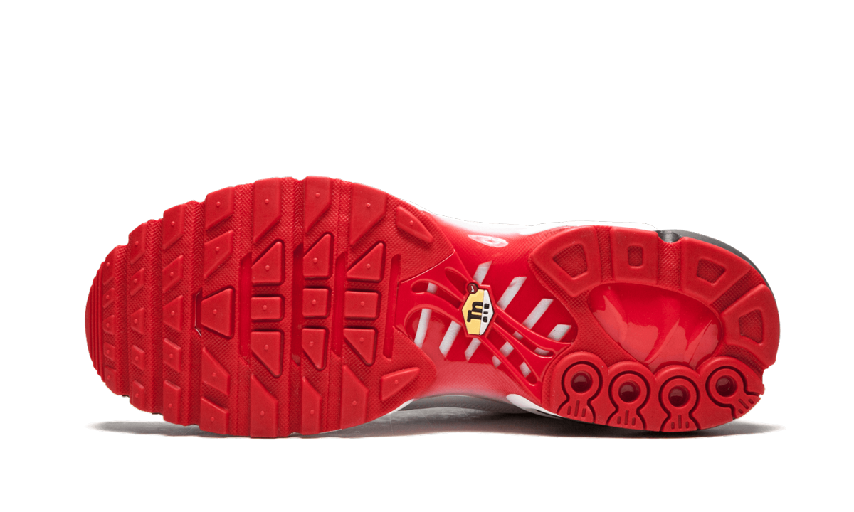 Nike Air Max Plus TN "SE"