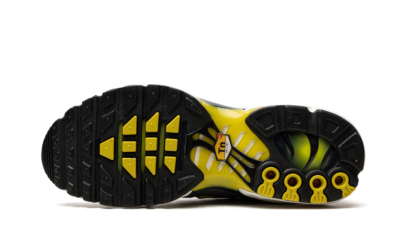 Nike Air Max Plus WMNS "VIOLET DUST"