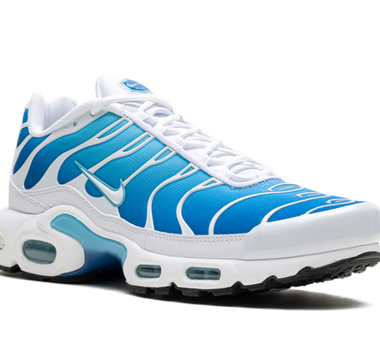 Nike Air Max Plus "Blue Gaze"