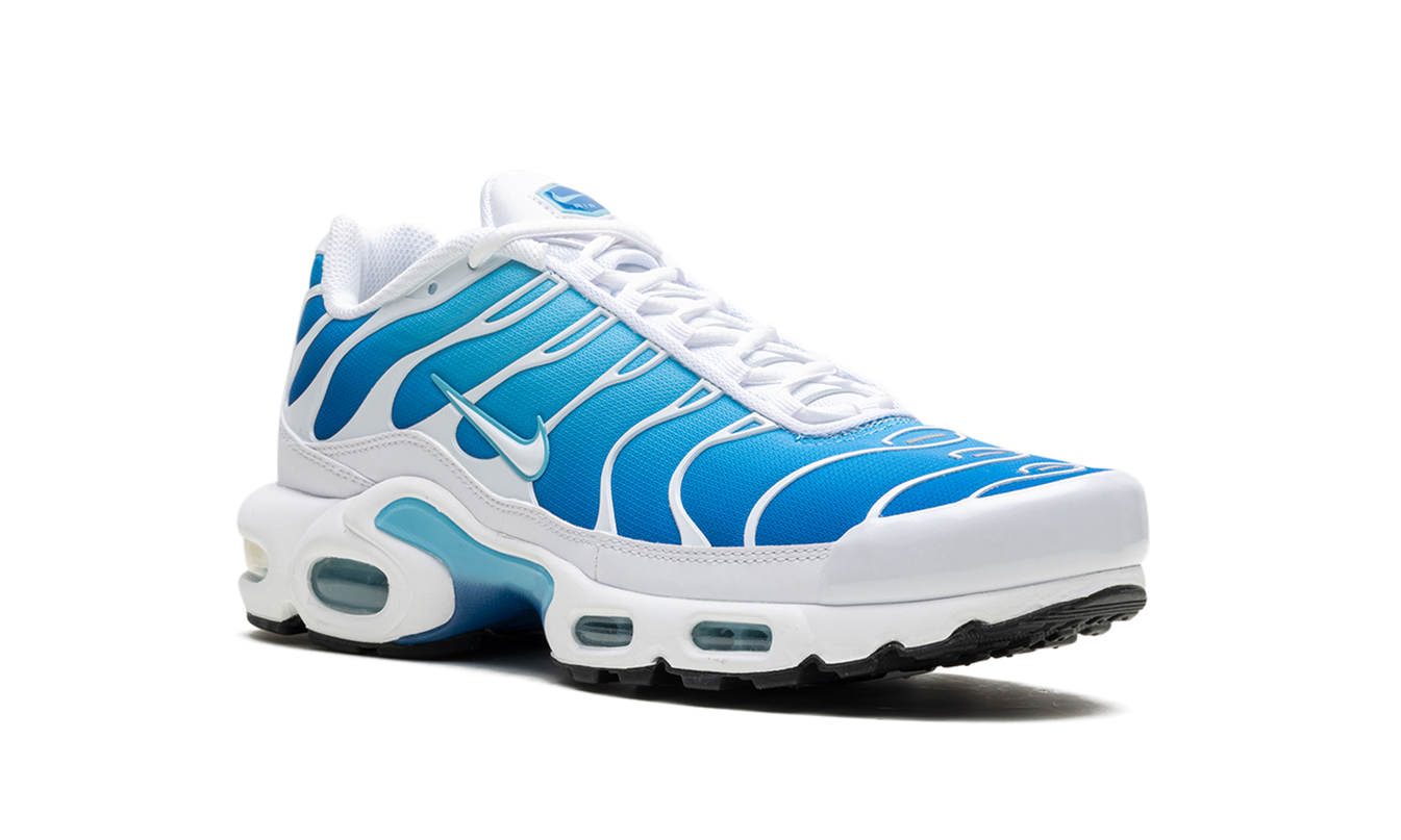 Air Max Plus „Blauer Blick“