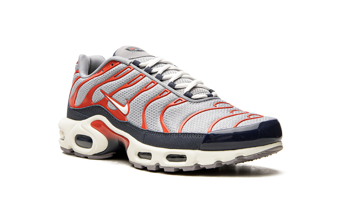 Nike Air Max Plus "USA Grey"