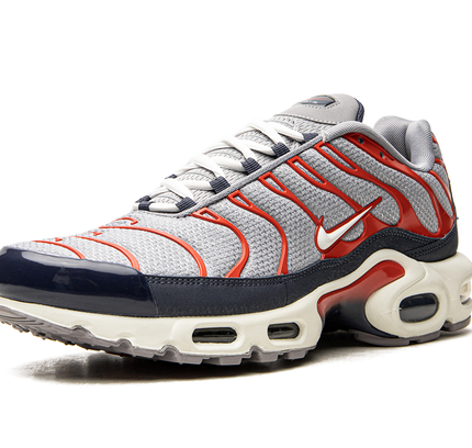 Air Max Plus „USA Grey“