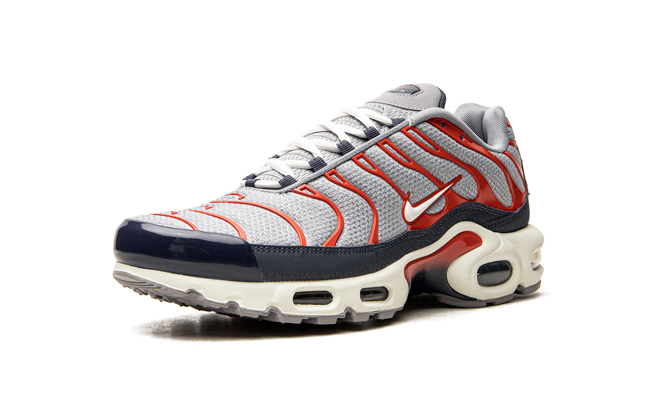 Air Max Plus „USA Grey“