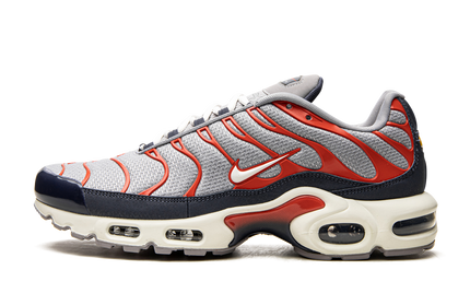 Air Max Plus „USA Grey“