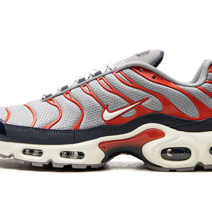 Air Max Plus „USA Grey“