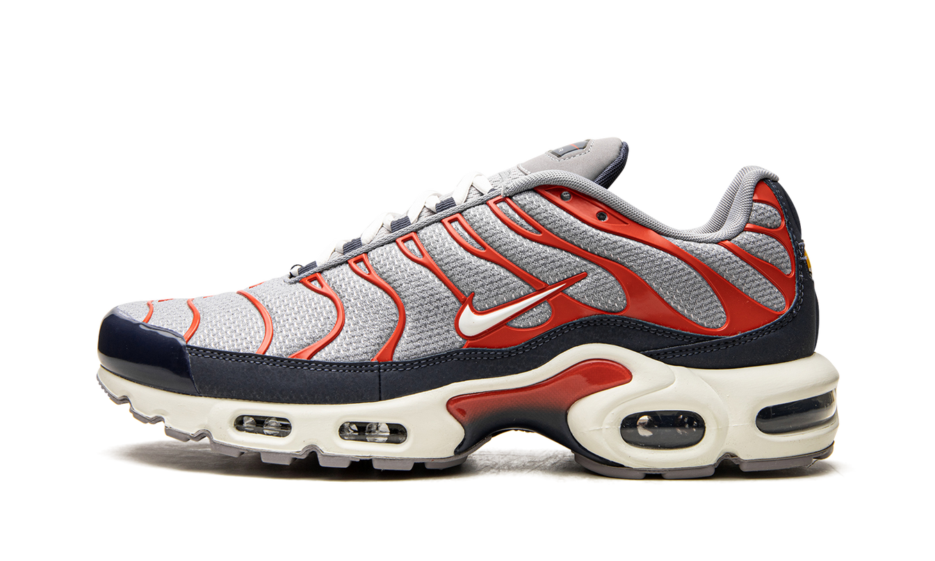 Nike Air Max Plus "USA Grey"